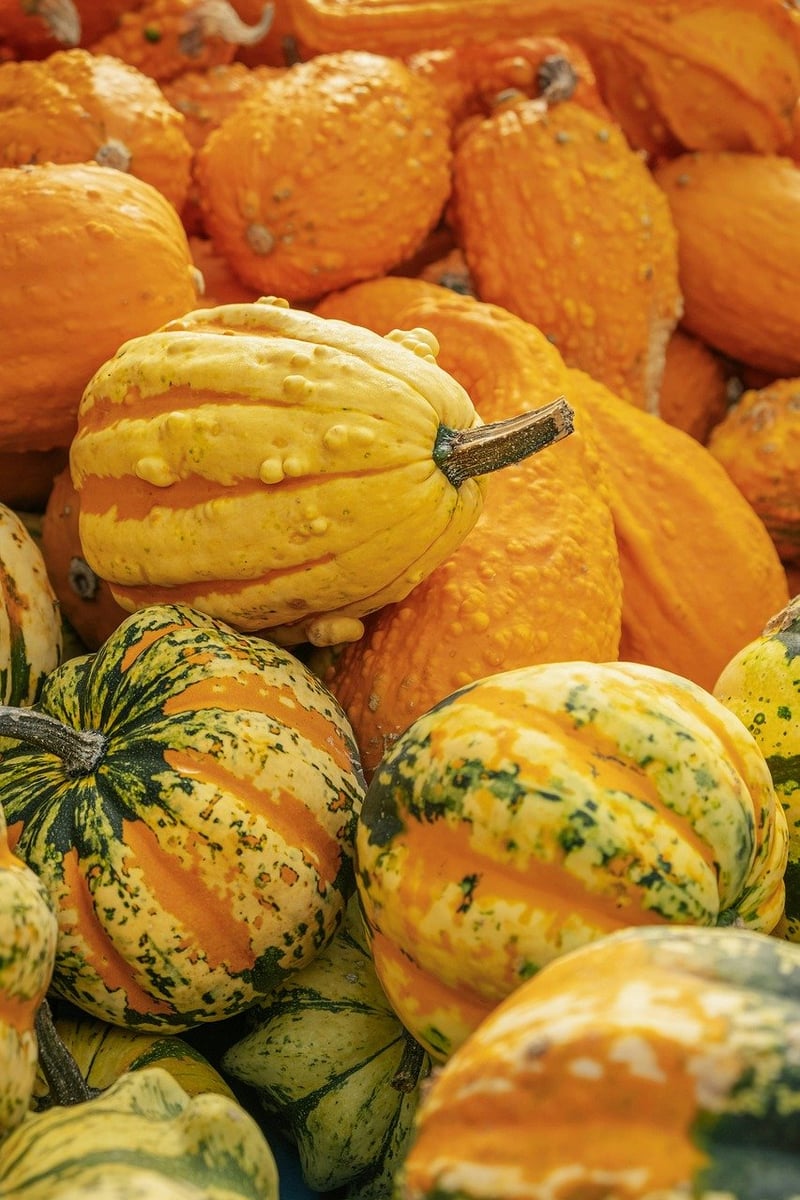 Fall Harvest Festival